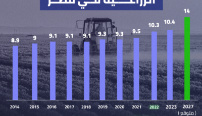 تطور حجم الرقعة الزراعية في مصر خلال 10 سنوات| إنفوجراف – اونلي ليبانون