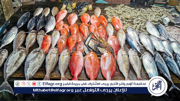 أسعار السمك في محافظة أسوان الخميس 18 ديسمبر 2025