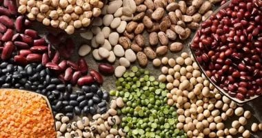 ‎مصر تتخطى حاجز الـ 300 ألف طن في صادرات الفاصوليا