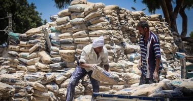 سعر الأسمنت اليوم الخميس 18 -12-2025 لدى الموزعين