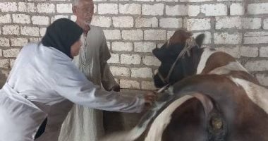 3 قوافل بيطرية مجانيه نهاية الشهر الحالى فى المنوفية