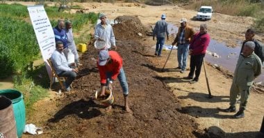 أعلاف من قلب الصحراء.. تجربة مبتكرة تخفض التكاليف وترفع الإنتاج.. نجاح إنتاج خليط من نبات الأزولا وكمبوست مخلفات النخيل فى الوادى الجديد كعلف حيوانى.. والخليط عالى القيمة الغذائية للمواشى وبتكلفة مخفضة.. صور