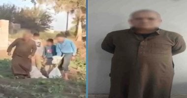 بعد انتشار فيديو لشخص يجمع كلاب صغيرة للتخلص منها.. تعرف على عقوبة الاعتداء على الحيوانات