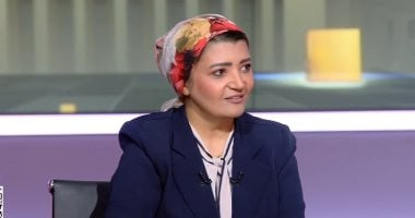 همت سلامة: توجيهات الرئيس السيسي أسست لمسار انتخابي أكثر نزاهة ووضوحًا