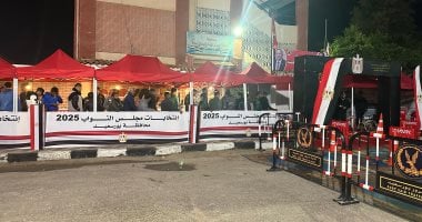 إقبال علي لجنة مدرسة القناة بانتخابات مجلس النواب في بورسعيد.. فيديو