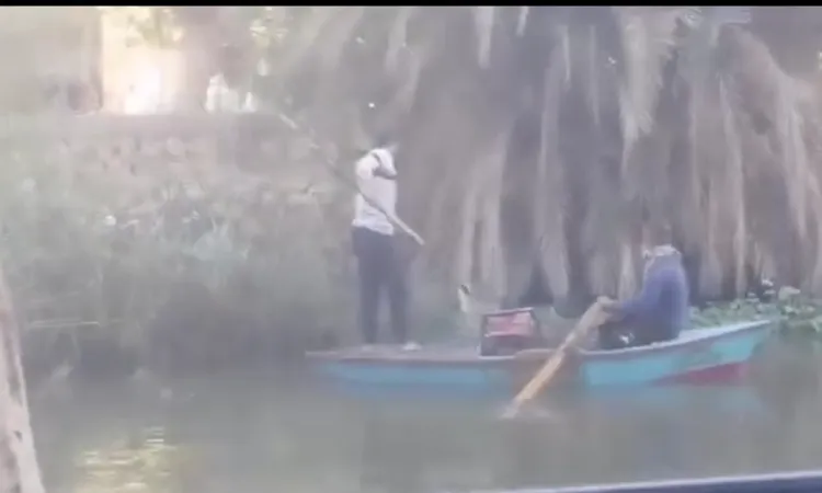 الصيد بالكهرباء يستنزف الثروة السمكية في الفيوم وسط مطالب بتدخل عاجل