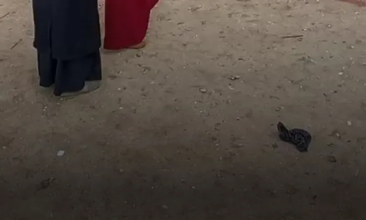 مندوب مرشح بالغربية يصفع سيدة لانتخابها مرشح منافس