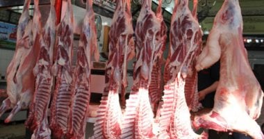اللحمة بكام؟.. أسعار اللحوم بكفر الشيخ الأحد 8 فبراير 2026