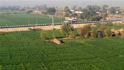 أونلي ليبانون : خاص| الأراضي الزراعية تتصدر قائمة الاستثمارات الأكثر أمانًا.. خبير اقتصادي يكشف الأسباب