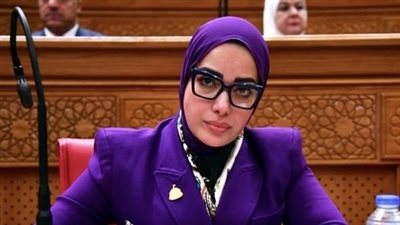أونلي ليبانون : النائبة آية عبدالرحمن تتقدم بمشروع قانون لتغليظ عقوبات تزوير الكتب