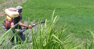 أونلي ليبانون : مشتل وزارة التنمية المحلية يستعيد تألقه.. 7 أسباب وراء التطوير الشامل