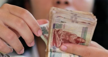 أونلي ليبانون : نمو مدخرات المصريين.. استثمارات صناديق التأمين تقفز إلى 3.2 مليار جنيه