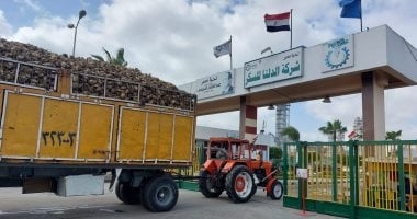 أونلي ليبانون : الدلتا للسكر: 5.5 مليار جنيه سحب على المكشوف ضريبة الدفاع عن المنتج الوطنى