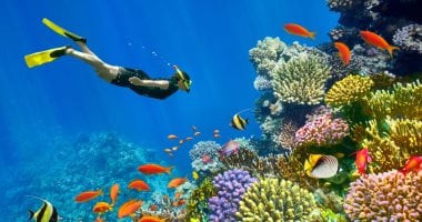 أونلي ليبانون : 63 ألف غرفة سياحية في سيناء.. طفرة قوية تدعم السياحة في أرض الفيروز