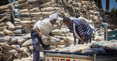 أونلي ليبانون : سعر الأسمنت اليوم الخميس 23 – 4 – 2026 الطن بـ4200 جنيه