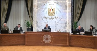 أونلي ليبانون : مجلس الوزراء: السبت المقبل إجازة رسمية بمناسبة عيد تحرير سيناء