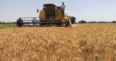 أونلي ليبانون : وزارة التموين: نستهدف استلام 5 ملايين طن قمح محلى خلال موسم 2026