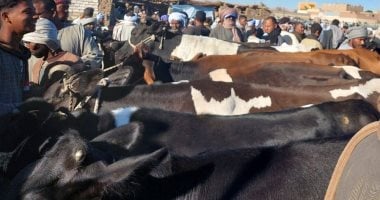 أونلي ليبانون : الزراعة: تحصين أكثر من 3 ملايين رأس ماشية ضد الجلد العقدى وجدرى الأغنام