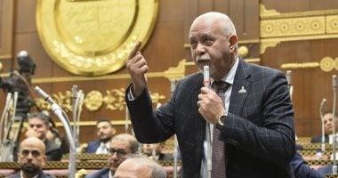 أونلي ليبانون : حازم الجندى: أمن الكويت والخليج من أمن مصر القومي والقاهرة سند للاستقرار الإقليمى