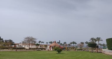 أونلي ليبانون : الطقس غدا مائل للحرارة نهارا وشبورة وأمطار ببعض المناطق والعظمى بالقاهرة 24