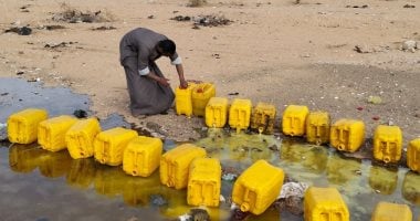 أونلي ليبانون : تموين الأقصر تعدم كميات من زيت الطعام معاد استخدامه وغير صالح للاستهلاك