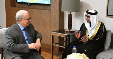 أونلي ليبانون : نائب رئيس الوزراء للشئون الاقتصادية يلتقى سفير دولة الإمارات لدى القاهرة