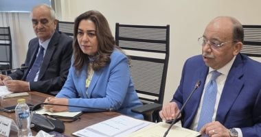 أونلي ليبانون : وزيرة التنمية المحلية: لجان مشتركة مع النواب لنظر قانون الإدارة المحلية