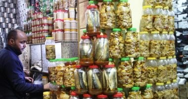 أونلي ليبانون : من بحيرة ناصر للمائدة.. سر طعم الفسيخ الأسوانى فى شم النسيم (صور)