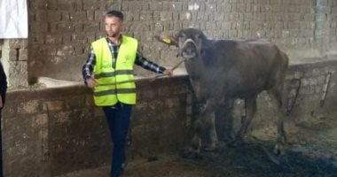 أونلي ليبانون : الأورمان تسلم 71 ألف رأس ماشية للأسر الأكثر احتياجا بالمحافظات