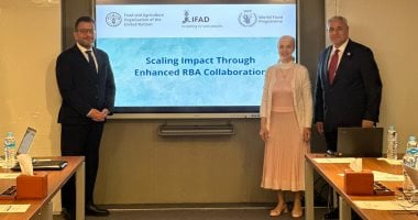أونلي ليبانون : الفاو وإيفاد والأغذية العالمى: مصر أظهرت قيادة قوية لمواجهة التحديات العالمية
