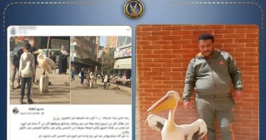 أونلي ليبانون : الداخلية تكشف ملابسات تقييد بجعة أمام محل أسماك فى طنطا