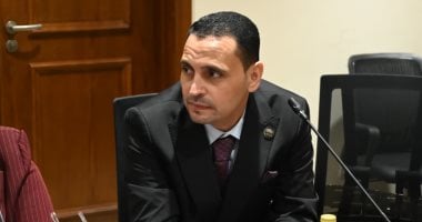 أونلي ليبانون : برلمانى: وقف إطلاق النار خطوة هامة لاحتواء التوترات الإقليمية بفضل الجهود المصرية