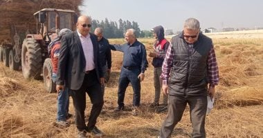 أونلي ليبانون : رئيس قطاع الخدمات يتابع حصاد القمح بالغربية.. صور
