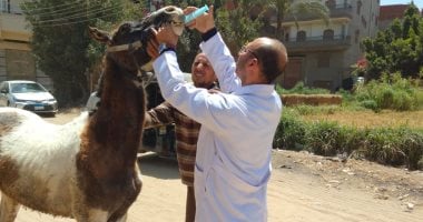 أونلي ليبانون : القوافل البيطرية بالدقهلية.. خط الدفاع الأول لحماية الثروة الحيوانية
