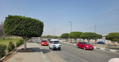 أونلي ليبانون : حالة الطقس اليوم الأحد فى محافظة الإسماعيلية.. فيديو