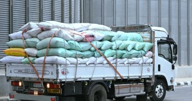 أونلي ليبانون : سنابل الخير.. توريد 920 طن قمح لشون وصوامع البحيرة