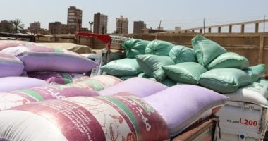 أونلي ليبانون : ” محصول القمح.. الذهب فى الصوامع”.. إقبال ملحوظ على التوريد منذ انطلاق موسم الحصاد.. عشرات المواقع التخزينية فى المحافظات لاستيعاب ملايين الأطنان.. رقابة صارمة وأجهزة لقياس نسبة الرطوبة والنقاوة.. صور