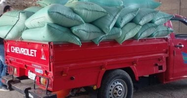 أونلي ليبانون : توريد 1301 طن قمح لمواقع التخزين والصوامع على مستوى محافظة الدقهلية