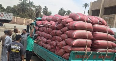 أونلي ليبانون : محافظ سوهاج: توريد 5801 طن قمح وتجهيز 15 موقعا لاستقبال المحصول