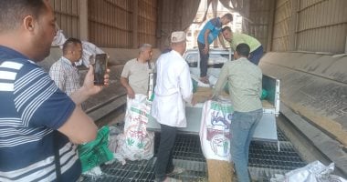 أونلي ليبانون : أهم مرحلة في توريد الذهب الأصفر.. لحظة تفريغ القمح فى نقرة الصومعة (فيديو)