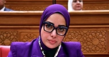 أونلي ليبانون : أية عبد الرحمن تتقدم بمشروع قانون لتغليظ عقوبات التعدى على الملكية الفكرية