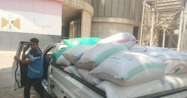 أونلي ليبانون : كيف يتم تخزين القمح؟.. 5 مراحل رئيسية لتوريد الذهب الأصفر للصوامع (فيديو)