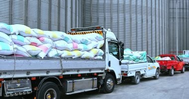 أونلي ليبانون : سنابل الخير.. توريد 2957 طن قمح لشون وصوامع البحيرة