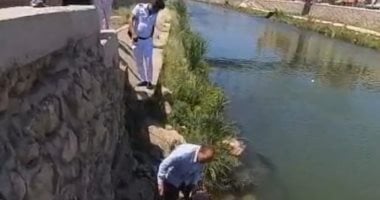 أونلي ليبانون : وزيرة البيئة: التحفظ على سيارة نقل تلقى مخلفات سائلة بمصرف القلعة بالإسكندرية