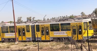 أونلي ليبانون : السيطرة على حريق هيش وبوص غرب الإسكندرية دون إصابات