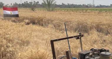 أونلي ليبانون : وسط المزارعين.. محافظ قنا يشهد حصاد القمح بقرية دندرة