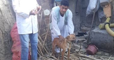أونلي ليبانون : تحصين كلاب ضد السعار بحى شرق سوهاج ضمن خطة السيطرة على الحيوانات الضالة