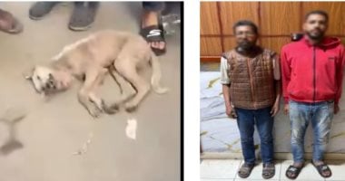 أونلي ليبانون : الأمن يكشف لغز فيديو “الكلب القتيل” فى الزقازيق