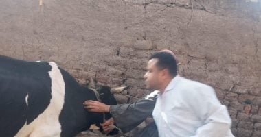 أونلي ليبانون : بيطرى قنا ينجح فى تحصين 91413 رأسا من الحيوانات ضد الجلد العقدى وجدرى الأغنام