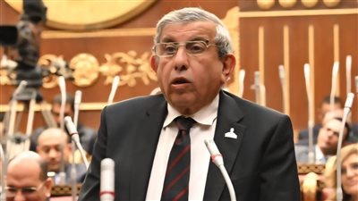 أونلي ليبانون : تحرك برلماني عاجل لوضع استراتيجية وطنية شاملة لمواجهة “البيدوفيليا” وحماية أطفال مصر